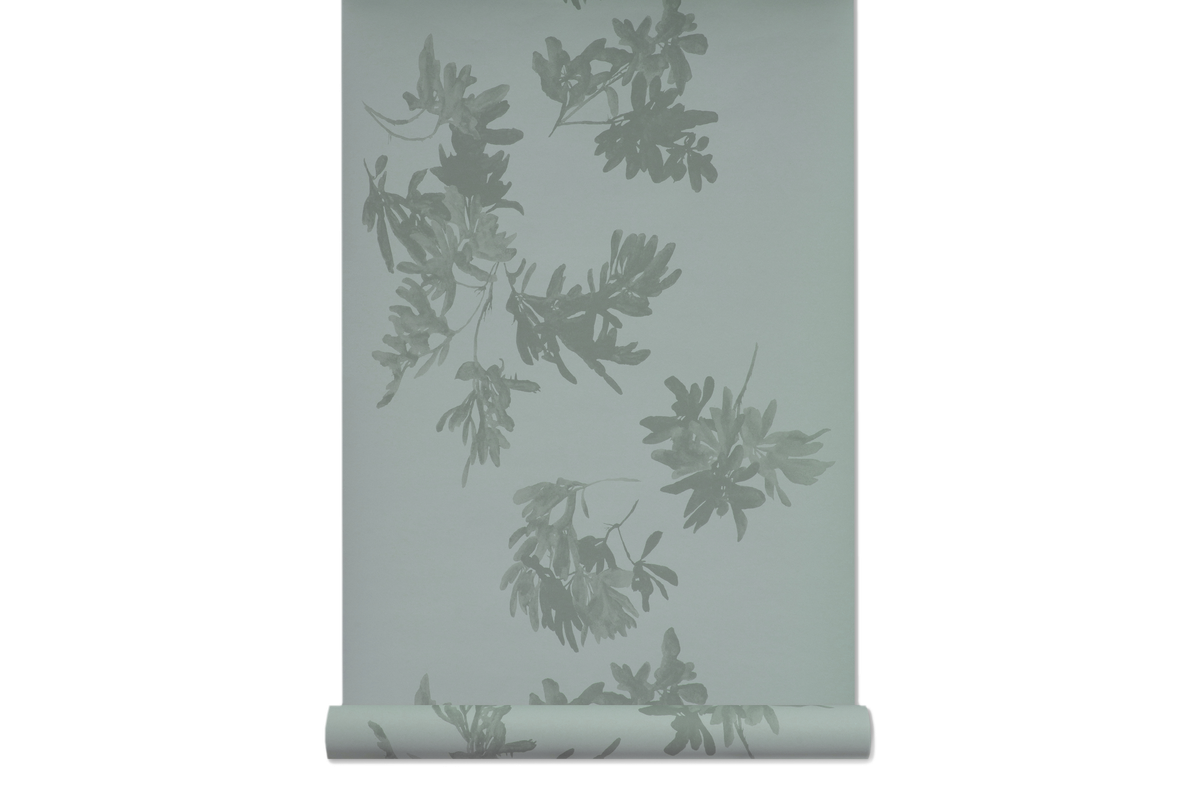 Pittosporum in Moss - Wallcovering