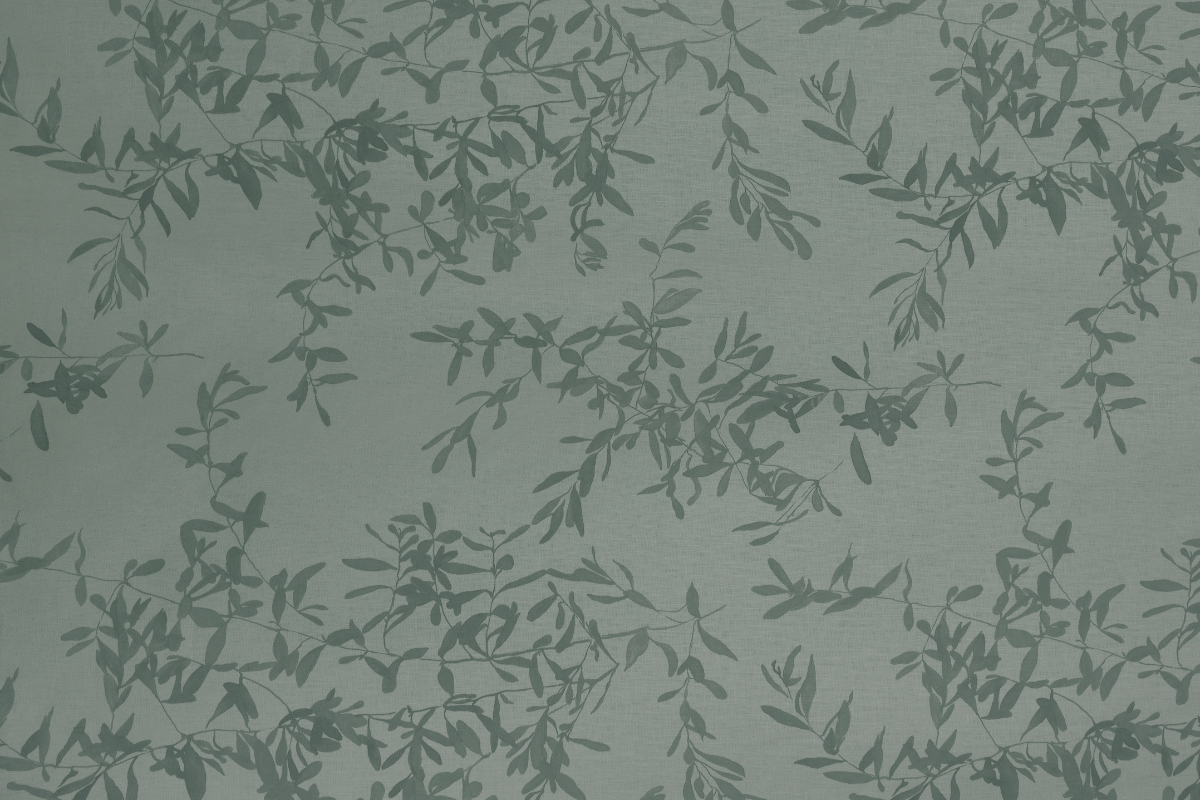 Olives in Moss