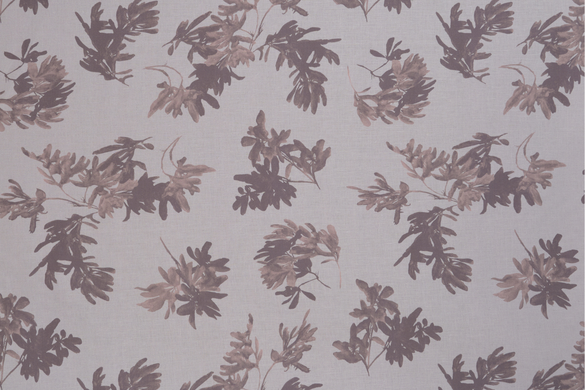 Pittosporum in Lavender
