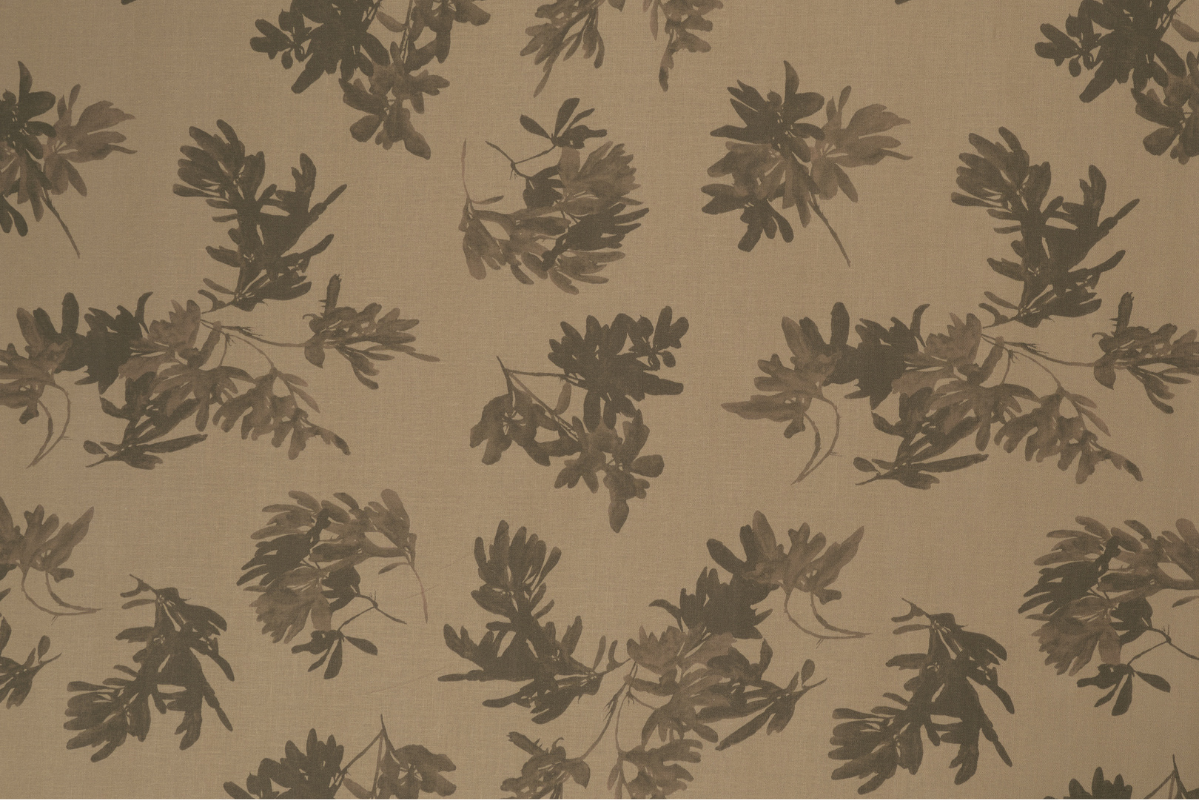 Pittosporum in Cognac