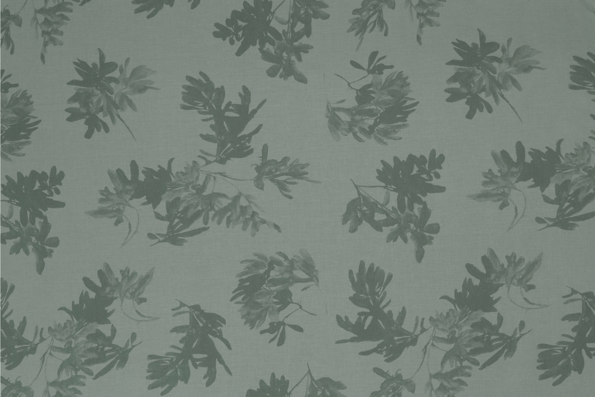 Pittosporum in Moss