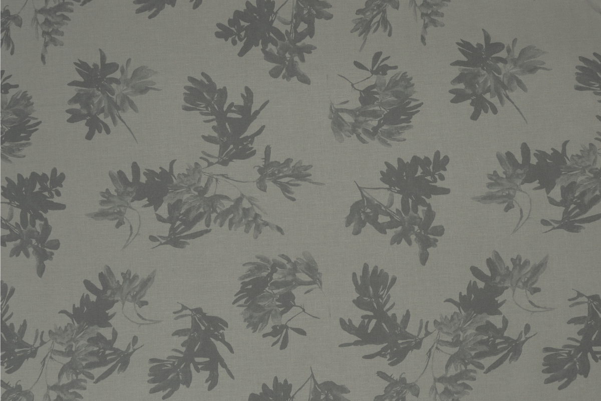 Pittosporum in Mushroom