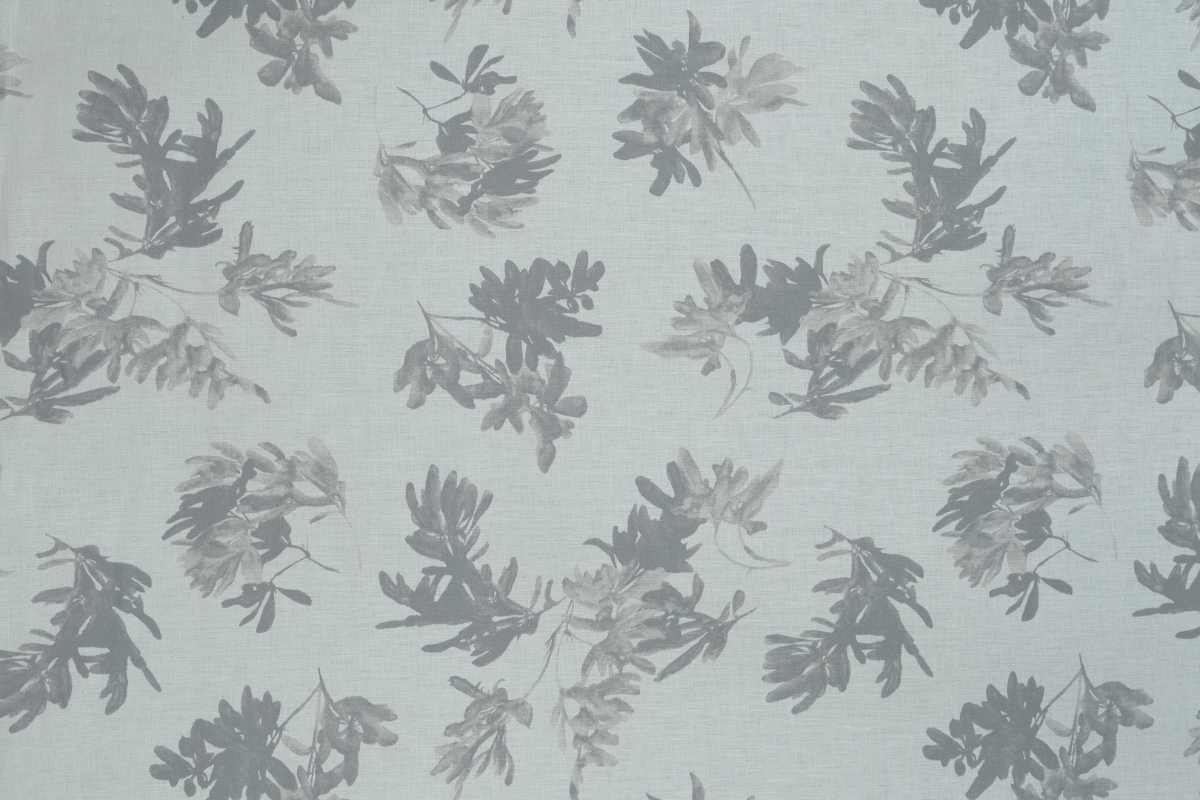 Pittosporum in Sage
