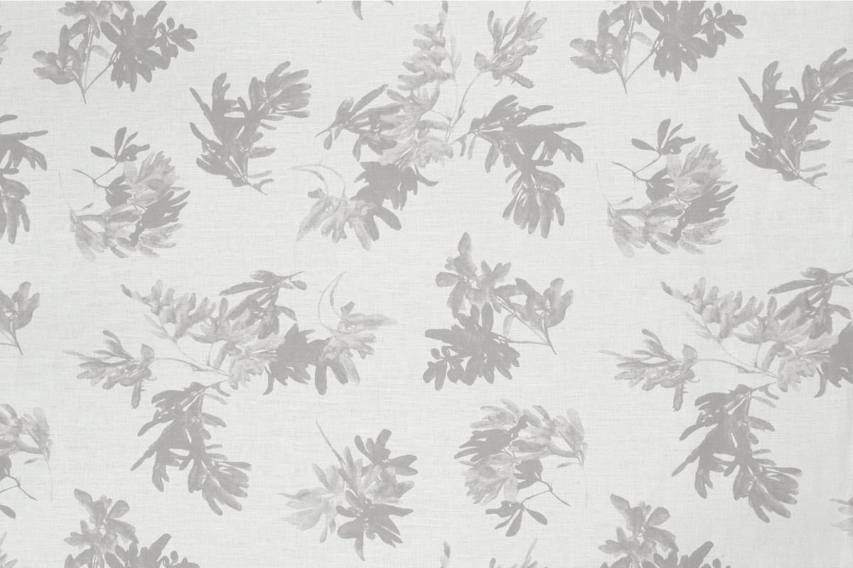 Pittosporum in Salt