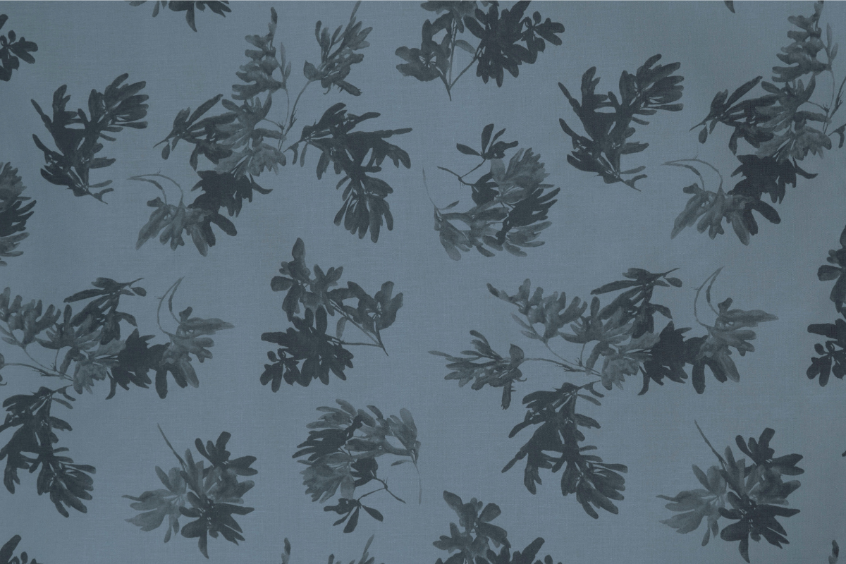 Pittosporum in Sea
