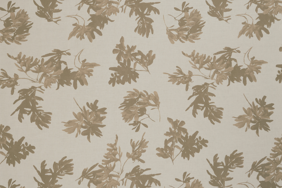Pittosporum in Wheat