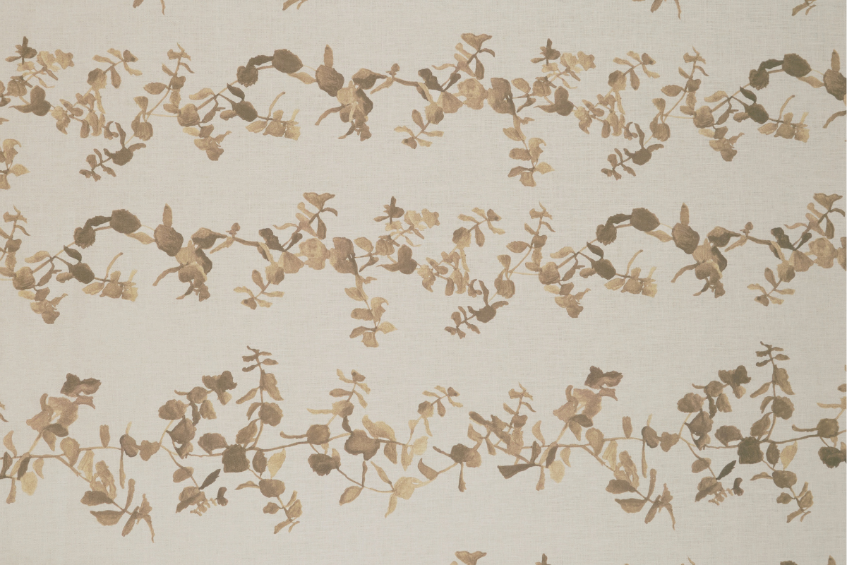 Succulents in Wheat