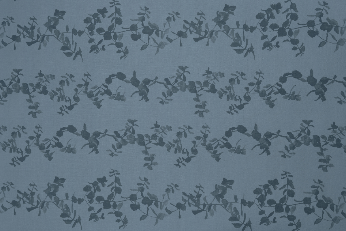 Succulents in Sea