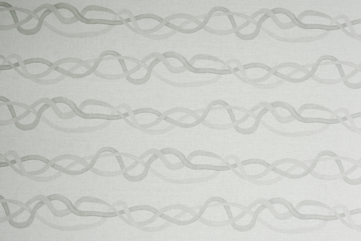 Vines in Salt